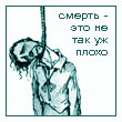 LEXA-81